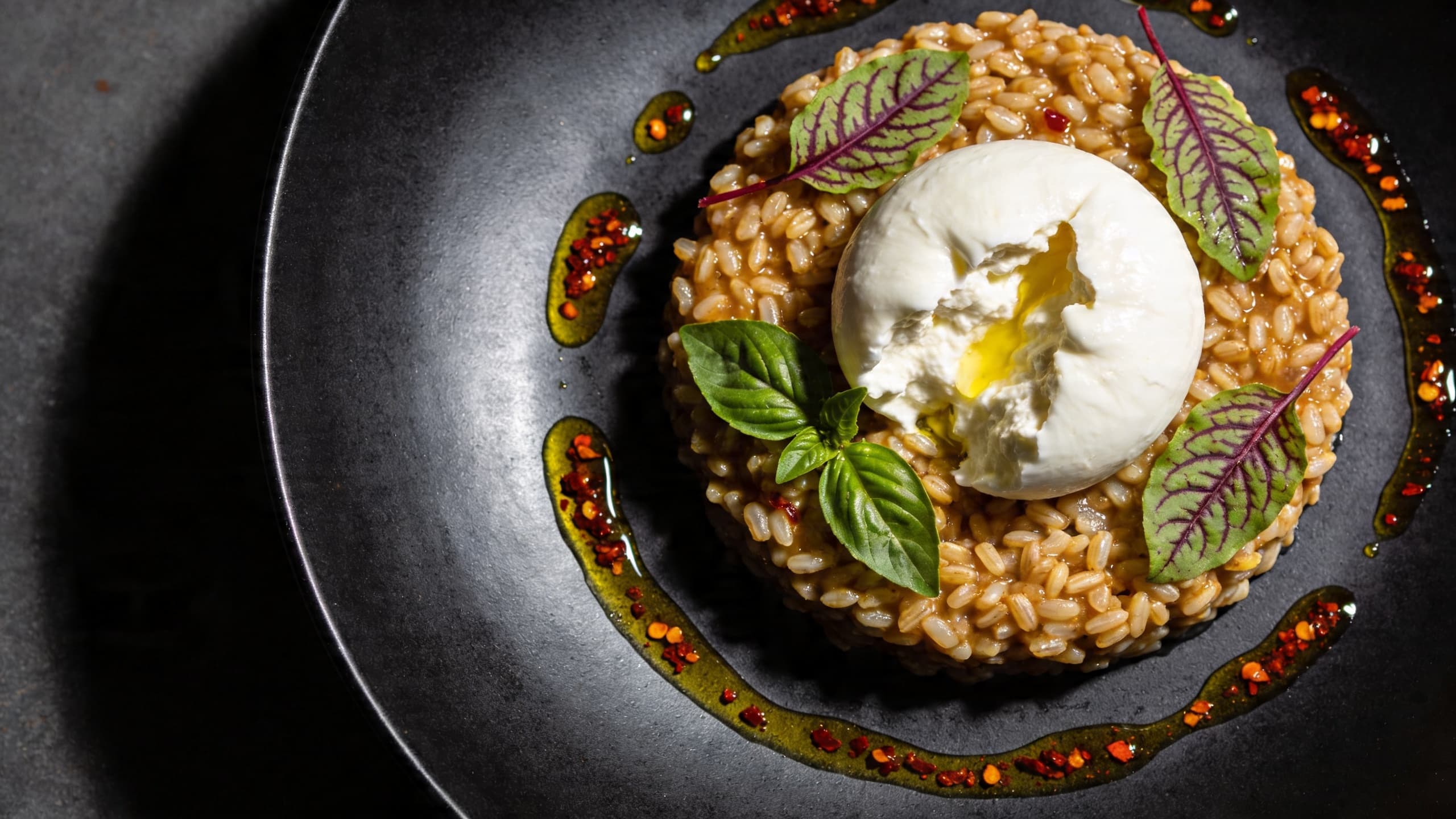 A beautifully plated farro risotto with a glossy, creamy texture, topped with a torn ball of fresh Burrata and garnished with vibrant Thai basil leaves and a drizzle of chili oil.
