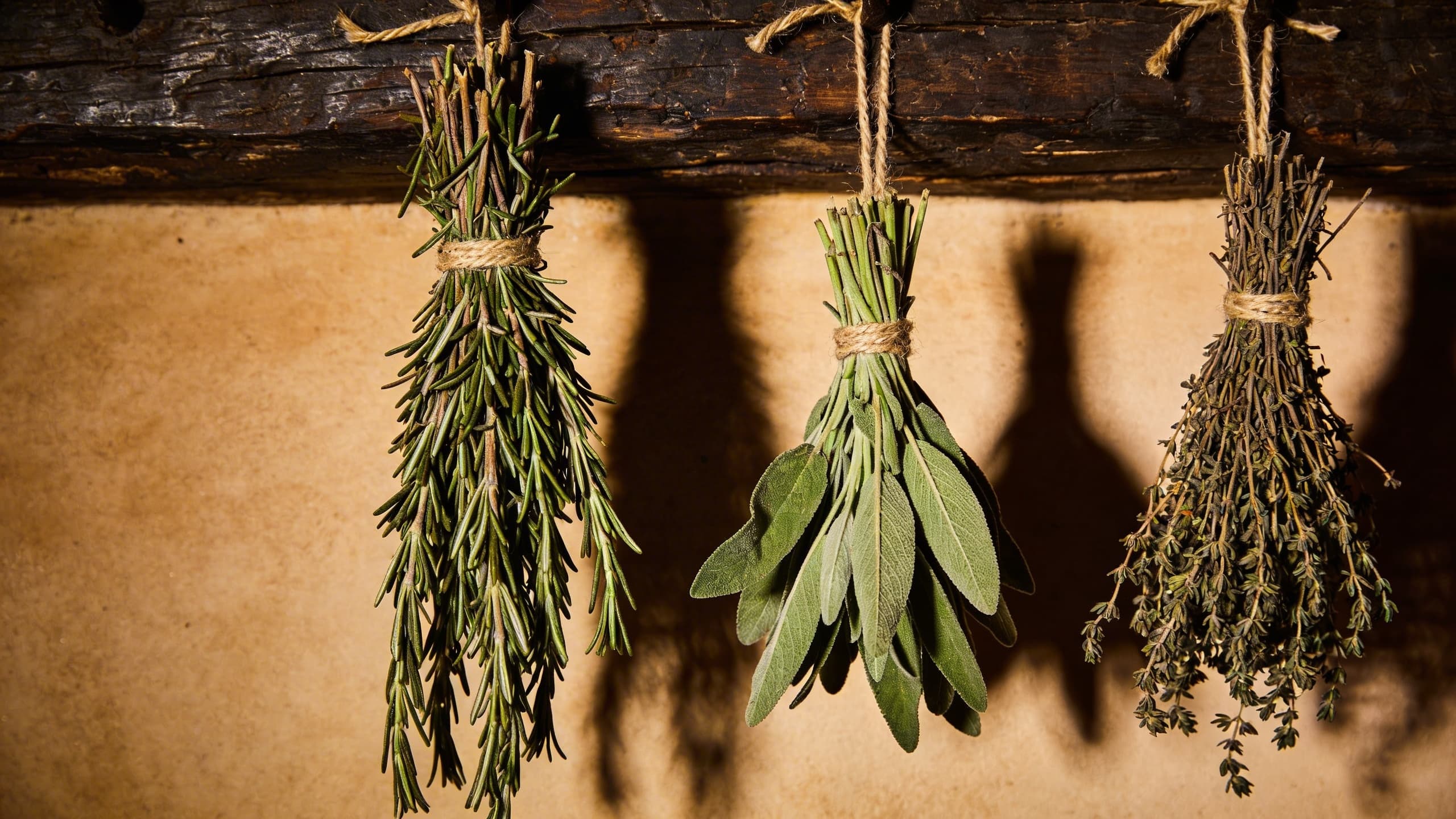 Bundles of dried rosemary and sage hanging from a rustic wooden beam